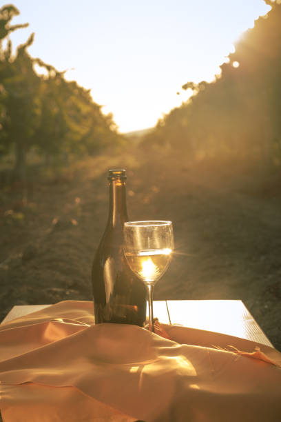 istock glass with white wine in vineyard on old table 1153189755