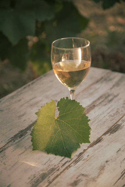 istock glass with white wine in vineyard on old table 1153189809