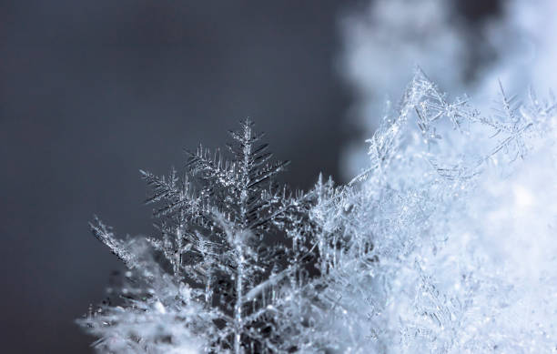 istock natural snowflakes on snow, winter 1153196511