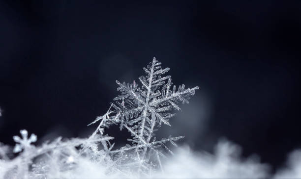 istock natural snowflakes on snow, winter 1153196620