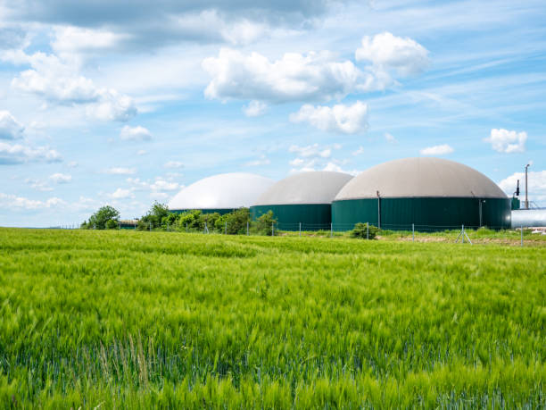 biogasproduktion, biogasanlage, bio-strom - biomasse erneuerbarkeit fotos stock-fotos und bilder