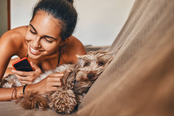 istock cheerful young woman playing with her dog 1153198663