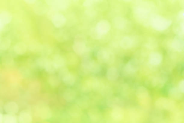 istock Natural blurred summer background of light green foliage (abstract, bokeh) 1153201363