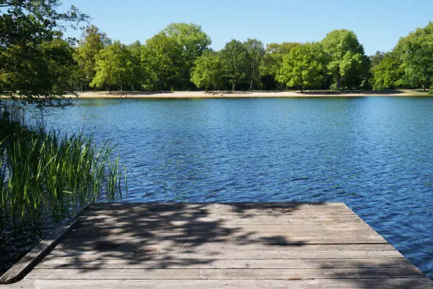 empty wooden pier or jetty overlooking bathing lake - idyllic nature background with copy space