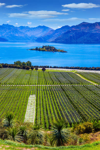 istock The little island 1153205671