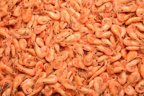 istock Tasty fresh shrimps as background. 1153212600