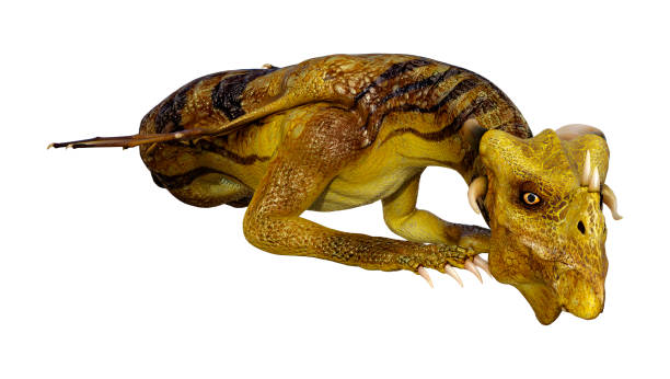 istock 3D illustration fantasy dragon on white 1153212965