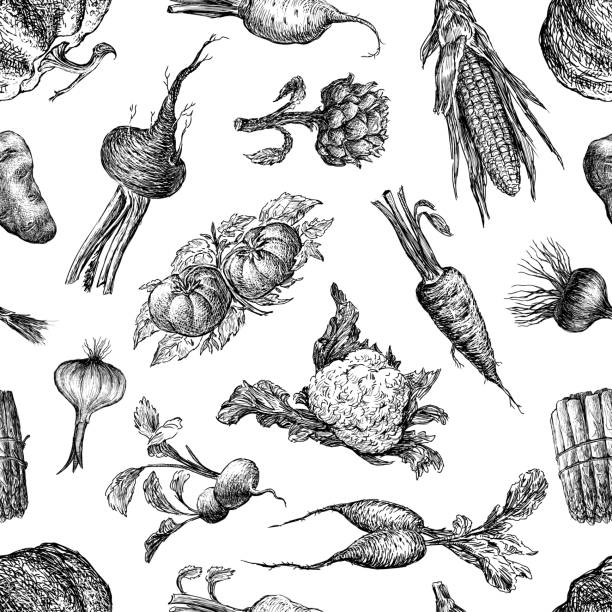 ilustrações de stock, clip art, desenhos animados e ícones de seamless pattern of a various vegetables sketches - cauliflower white backgrounds isolated