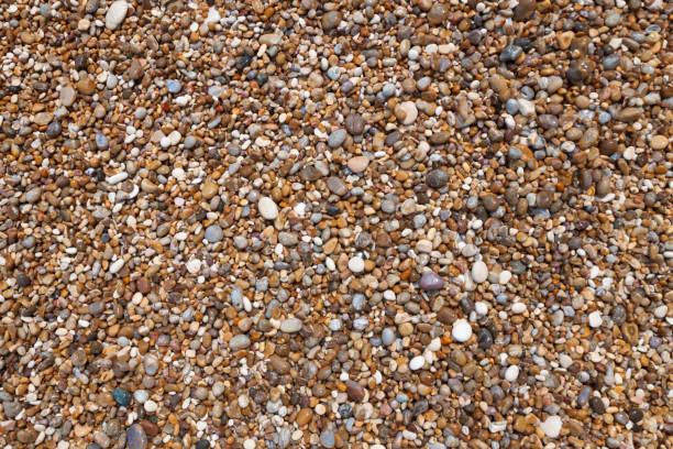 istock wet sea pebbles on the beach background 1153218453
