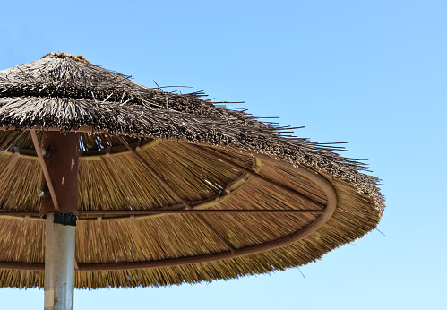 Low angle view of  natural  reed thatch roof umbrella  against clear sky .