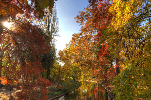 istock Bordeaux, France 1153218723