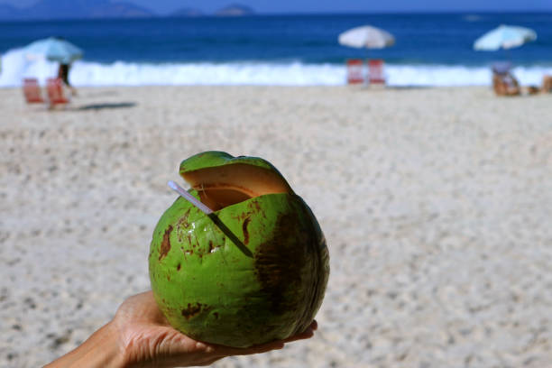 istock Fresh young coconut on man's hand with blurry sunshine beach in background 1153219854