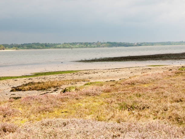 istock Beautiful harbour landscape scene outside summer bar coast 1153222870