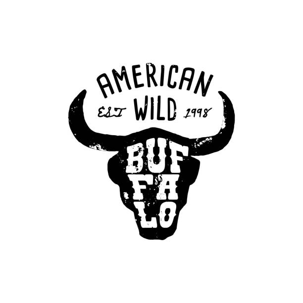 western logo skull buffalo kopf draw grunge stil. wilder west-symbol singen von kuhhörnern und retro-typografie. - skull dirty insignia grunge stock-grafiken, -clipart, -cartoons und -symbole