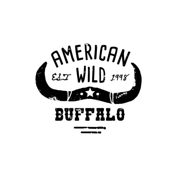 western logo skull buffalo kopf draw grunge stil. wilder west-symbol singen von kuhhörnern und retro-typografie. - skull dirty insignia grunge stock-grafiken, -clipart, -cartoons und -symbole