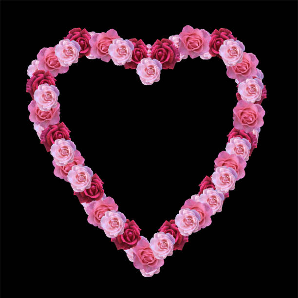 Pink rose flowers with silk ribbon heart in a festive floral arrangement for Valentine Day isolated on white