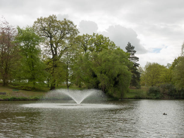 istock beautiful scene outside in nature with trees and sky 1153231128