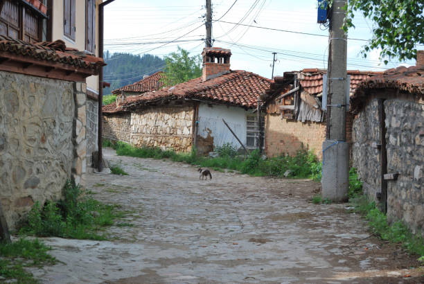 Koprivshtica is a historic town in the Koprivshtitsa Municipality in Sofia Province, central Bulgaria.