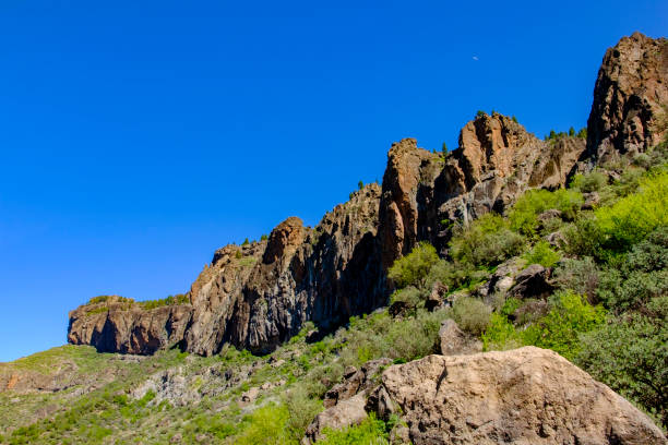 istock Gran Canaria, Canary Islands - mountain landscape 1153233816