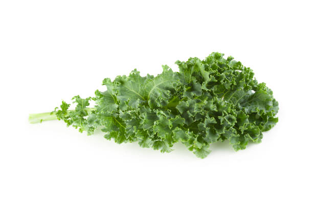 istock Fresh organic green kale leaves isolated over white background 1153234620