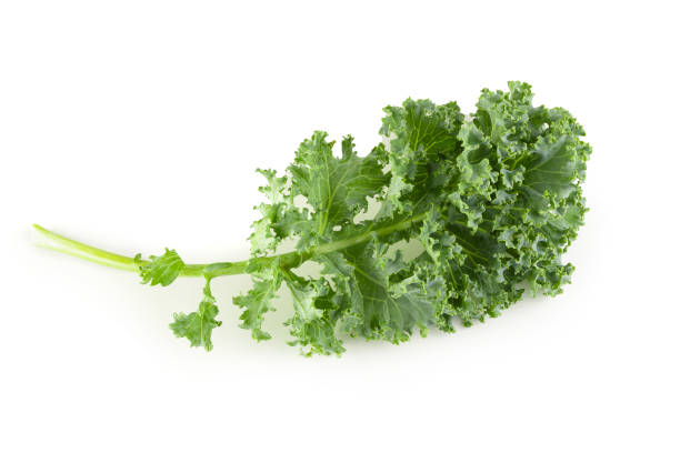 istock Fresh organic green kale leaves isolated over white background 1153234632