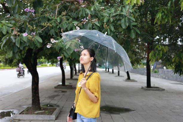 istock woman with umbrella in town 1153234634
