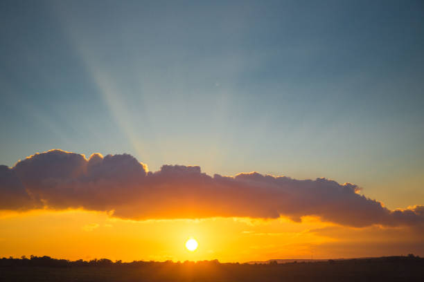 istock Gorgeous sunset over beautiful green vines 1153237465