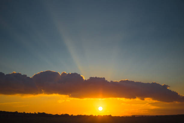 istock Gorgeous sunset over beautiful green vines 1153237498