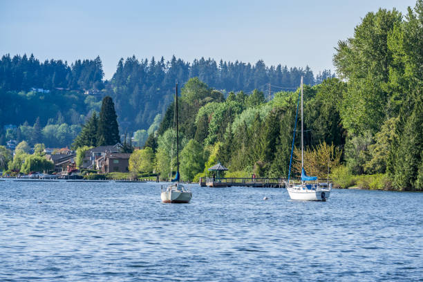 istock Park Shoreline And Boats 6 1153237638