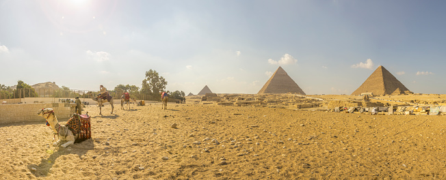 Cairo, Égypt - November 05, 2018 :  the sun falls on the pyramids and tourists discover this majestic tourist site full of history.  \ncamels are ubiquitous on the site of the pyramids.