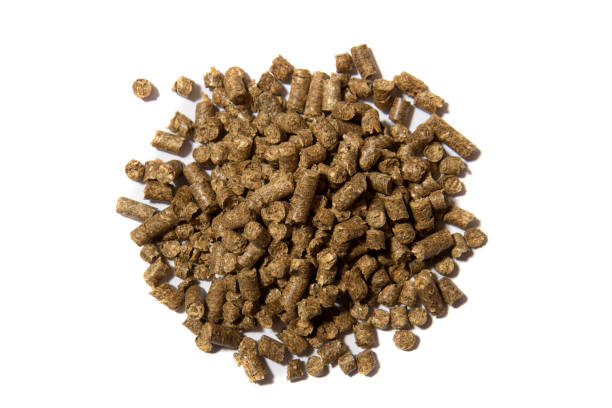 istock wooden pellets on white background 1153239978