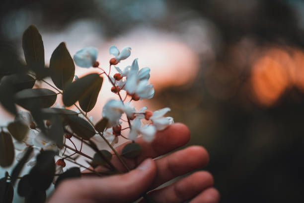 Holding bunch of flower in hand