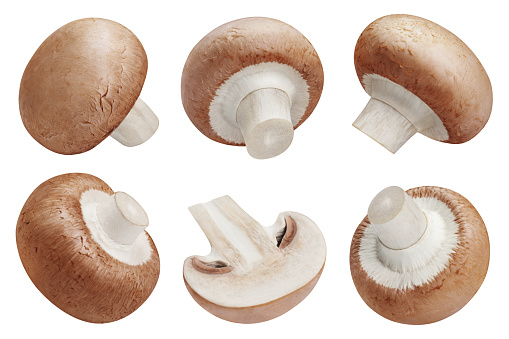 Collection of fresh champignon mushrooms, isolated on white background