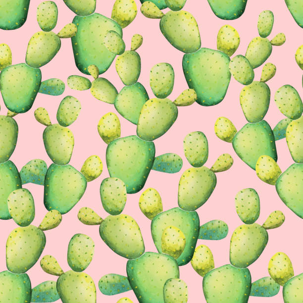 istock Watercolor cactus design. Seamless tropical pattern with exotic cactus plants on pink background 1153241190