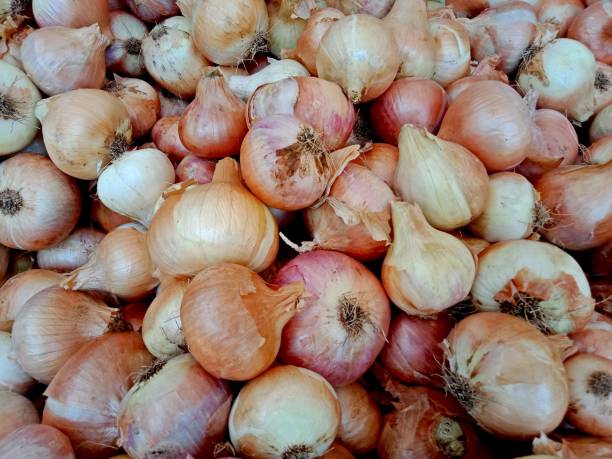 istock Yellow unpeeled onions 1153241575