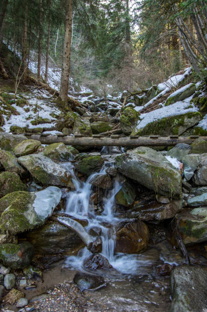 istock Half frozen river streams and weterfalls 1153241689