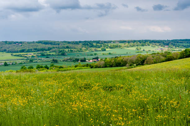 istock Hertfordshire landscape 1153242294