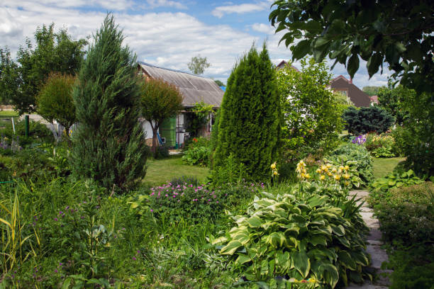 istock Small  and  beautiful  garden 1153244806