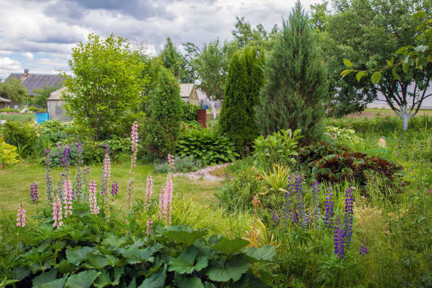 istock Small  and  beautiful  garden 1153244807