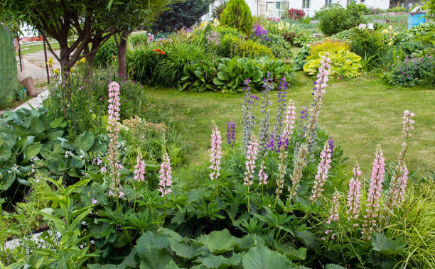istock Small  and  beautiful  garden 1153244834