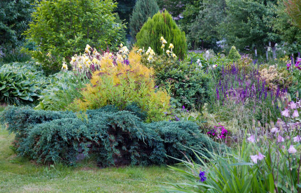 istock Small  and  beautiful  garden 1153244835