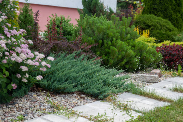 istock Small  and  beautiful  garden 1153244836