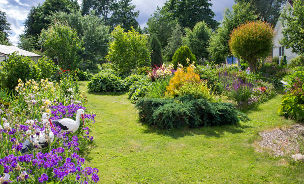 istock Small  and  beautiful  garden 1153244837