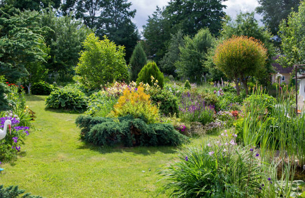 istock Small  and  beautiful  garden 1153244927