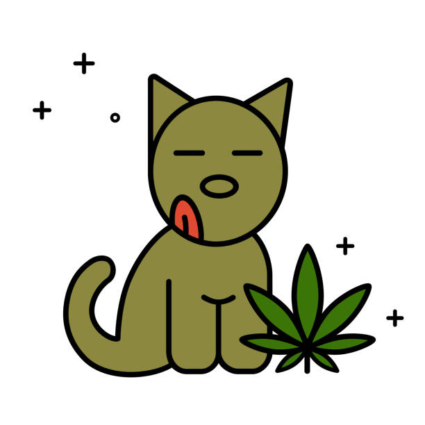 Dog and marijuana leaf. Dog and marijuana leaf. Medical cannabis for pets concept. Isolated vector illustration on white background. dog marijuana stock illustrations