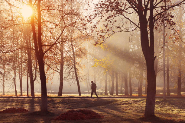 istock sunny autumn landscape with frost 1153253408
