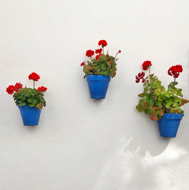 istock Andalusian flower pots on white wall 1153253583