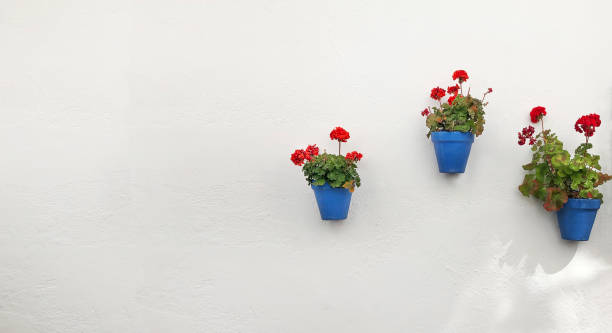 istock Andalusian flower pots on white wall 1153253592