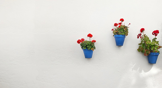 andalusian, geraniums,blue, red, cordoba, patios
