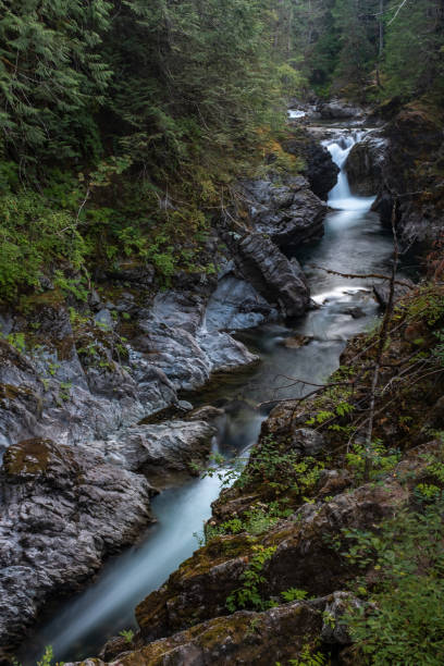 um aspecto do retrato do rio de qualicum corre através do desfiladeiro no parque provincial de little qualicum, console de vancôver, canadá que cria cachoeiras pequenas - vancouver green forest ravine - fotografias e filmes do acervo